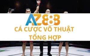 ca cuoc vo thuat tong hop 2 2